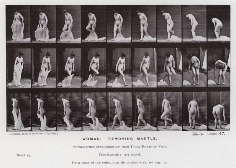 Lidská postava v pohybu: Žena, odstranění pláště (č/b foto) od Eadweard Muybridge