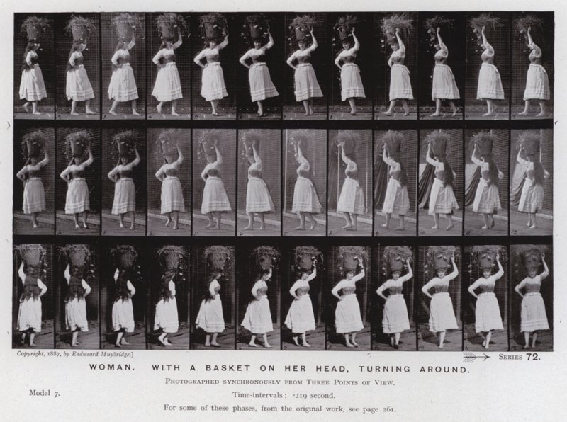 Závěsný od Eadweard Muybridge