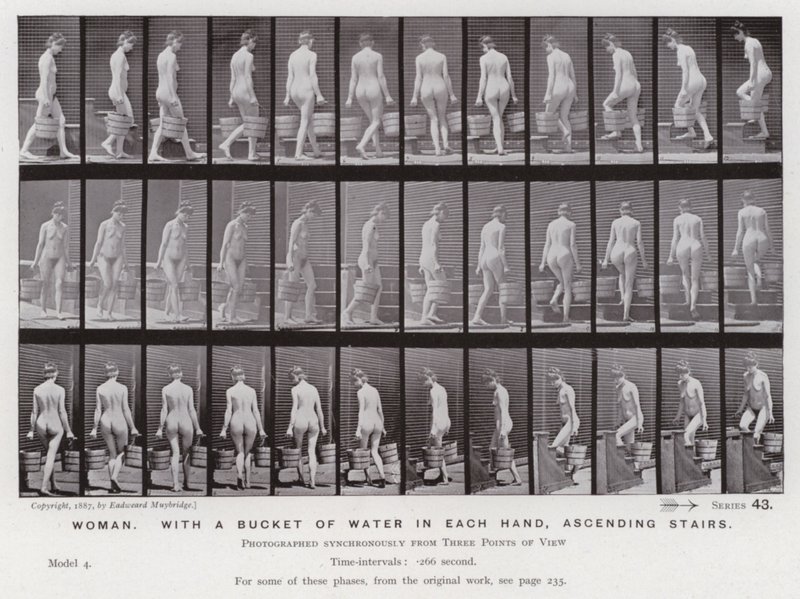 Lidská postava v pohybu: Žena s kbelíkem vody v každé ruce, stoupá po schodech od Eadweard Muybridge