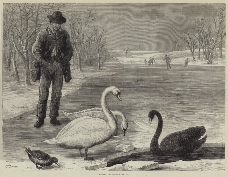 Frozen Out od Ebenezer Newman Downard