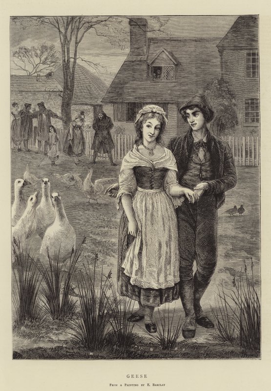 Husy od Edgar Barclay