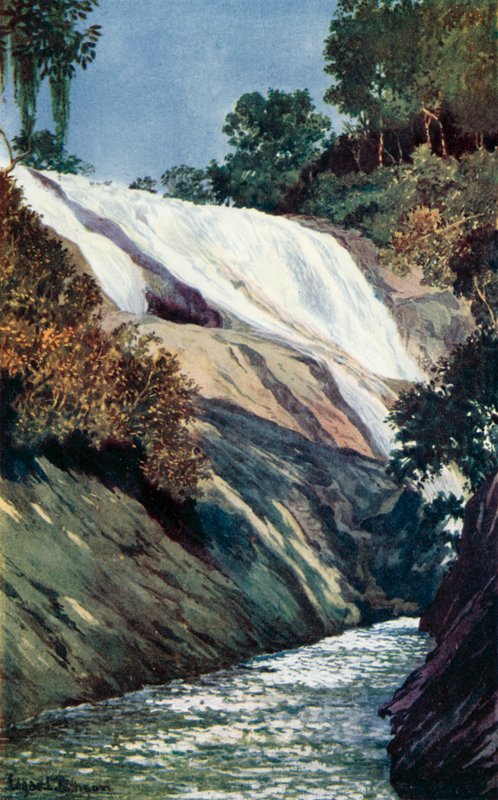 Kaskáda v Tijuca, Rio (barevné lito) od Edgar L. Pattison
