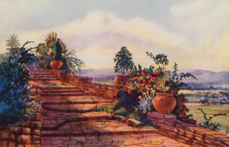 The Steps at Government House, Pretoria (barevné lito) od Edith Struben
