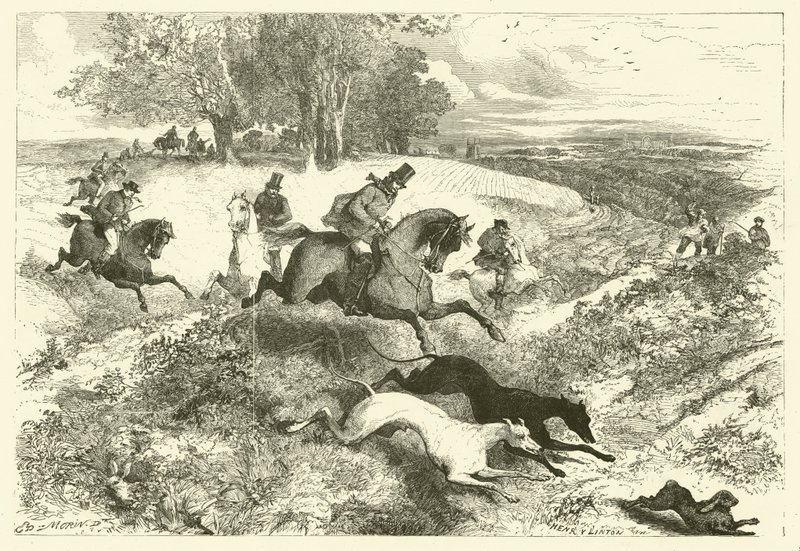 Hare coursing v Anglii (rytina) od Edmond (after) Morin