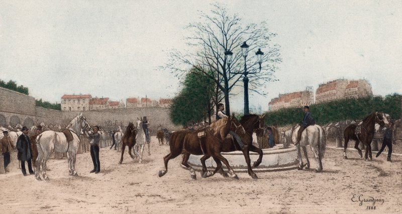 Koňský trh v Paříži (barevný hlubotisk) od Edmond Georges Grandjean