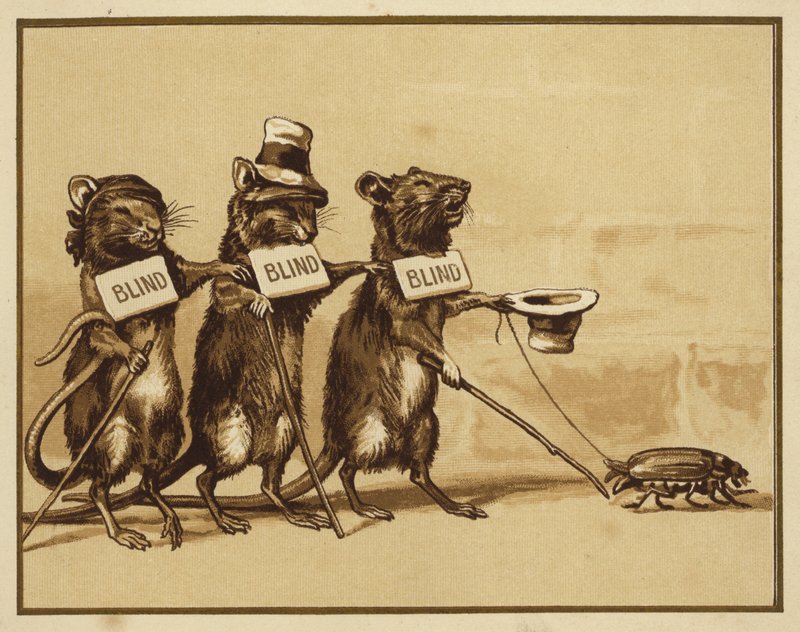 Ilustrace pro tři slepé myši (barevné lito) od Edmund G. Caldwell