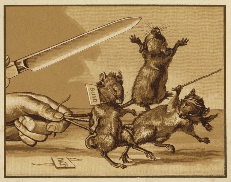 Ilustrace pro tři slepé myši (barevné lito) od Edmund G. Caldwell
