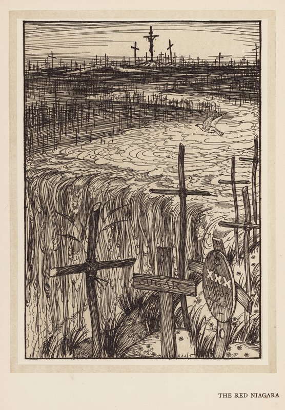 Kaiserův věnec: Červená Niagara (litografie) od Edmund Joseph (after) Sullivan