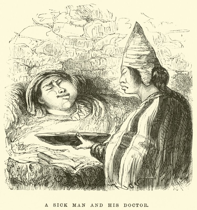 Nemocný muž a jeho lékař od Edouard Riou