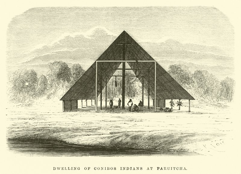 Obydlí indiánů Conibos v Paruitcha od Edouard Riou