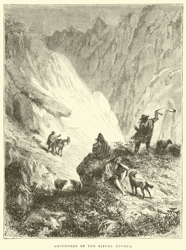 Pastýři ze Sierry Nevady od Edouard Riou
