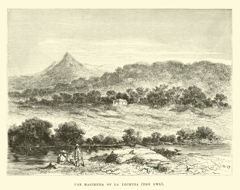 Hacienda La Lechuza, sova od Edouard Riou