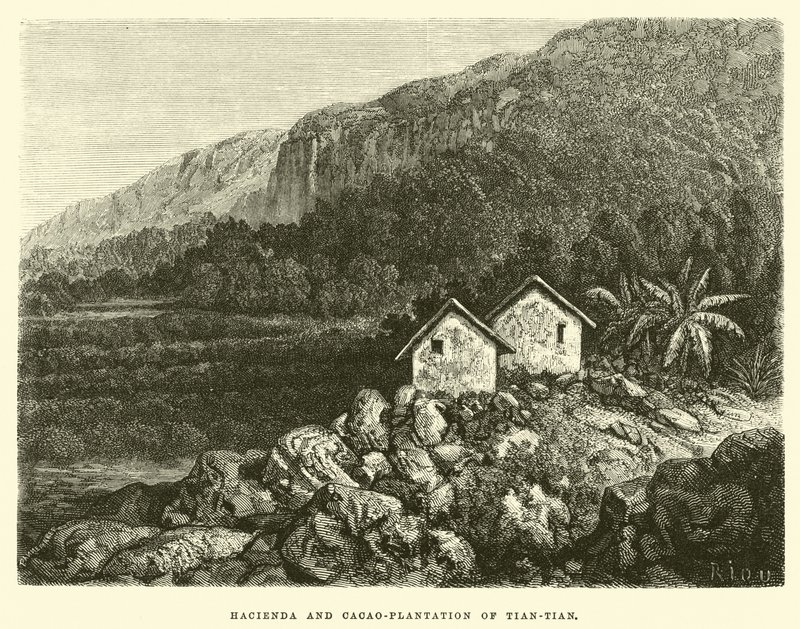 Hacienda a Kakaová plantáž Tian-Tian od Edouard Riou