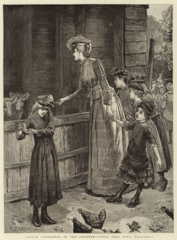 Malí Londýňané na venkově, budou kousat, učiteli od Edward Frederick Brewtnall