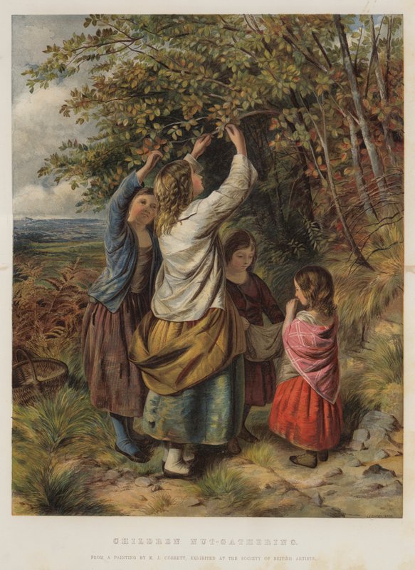 Shromažďování oříšků pro děti od Edward John Cobbett
