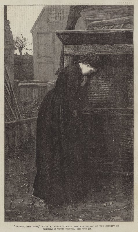 Vyprávění včelám od Edward Killingworth Johnson