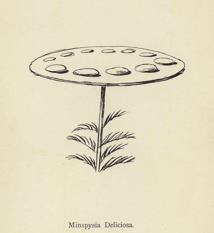 Lahodná Minspysia od Edward Lear