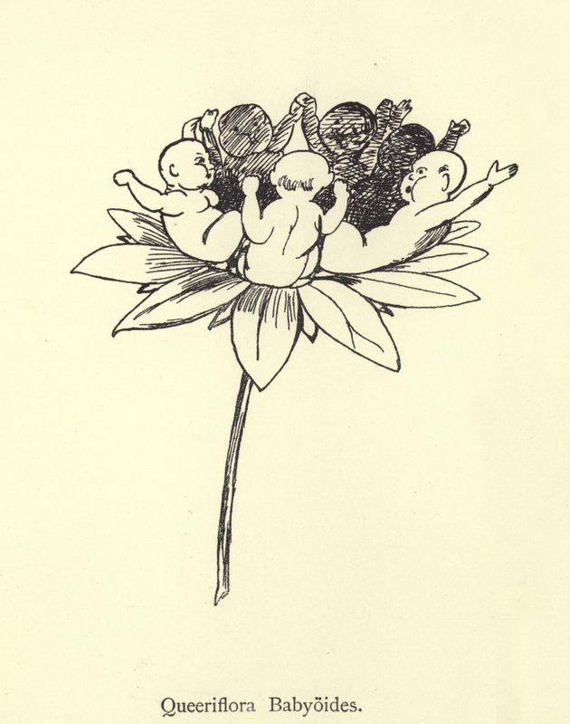 Queeriflora Babyoides od Edward Lear