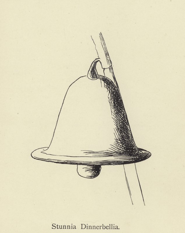 Stunnia Dinnerbellia od Edward Lear