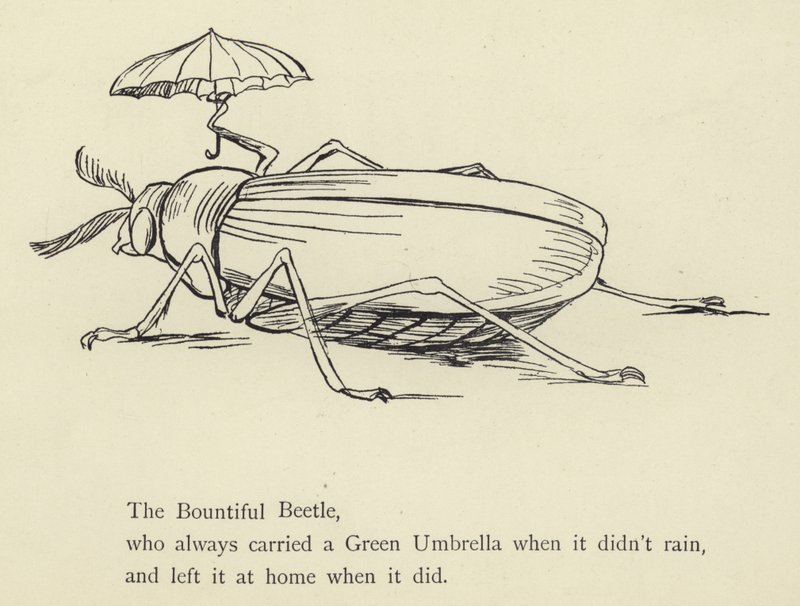 Štědrý brouk od Edward Lear