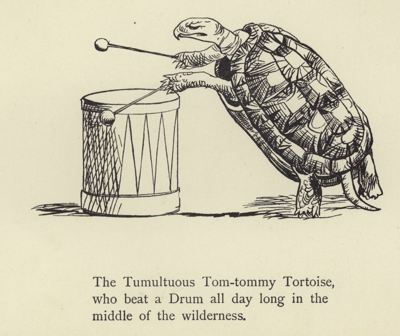 Bouřlivá želva Tom-Tommy od Edward Lear