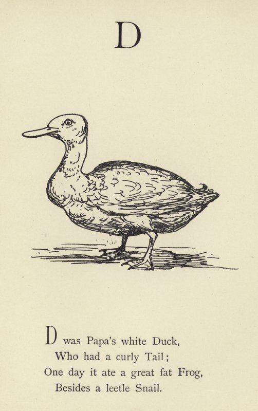 Písmeno D od Edward Lear