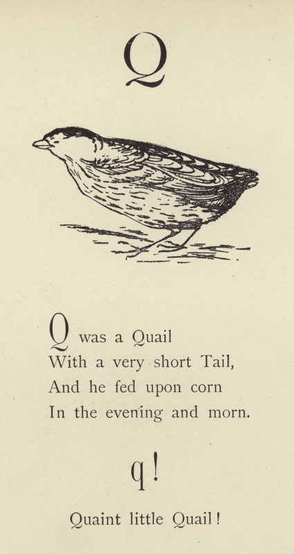 Písmeno Q od Edward Lear