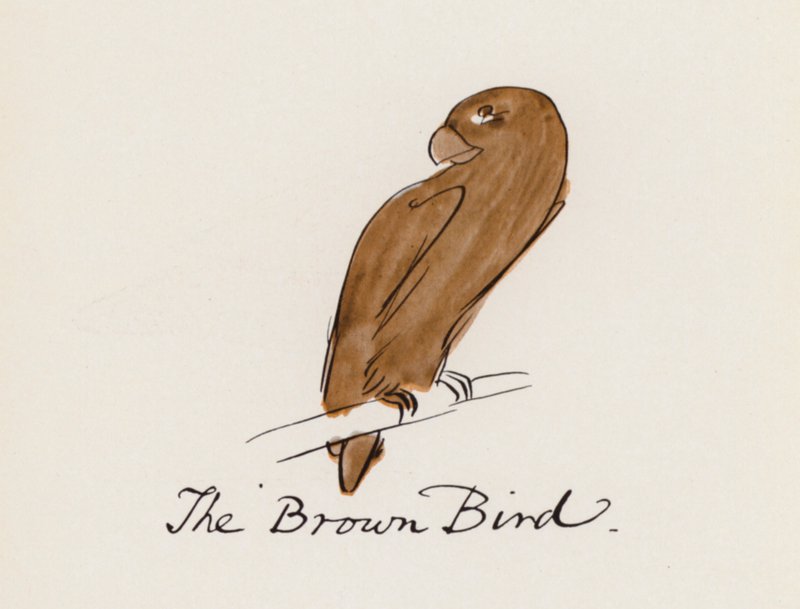 Edward Lear, Kniha o ptácích: Hnědý pták (barevné lito) od Edward (after) Lear