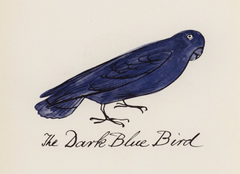 Edward Lear, The Bird Book: The Dark Blue Bird (barva lito) od Edward (after) Lear