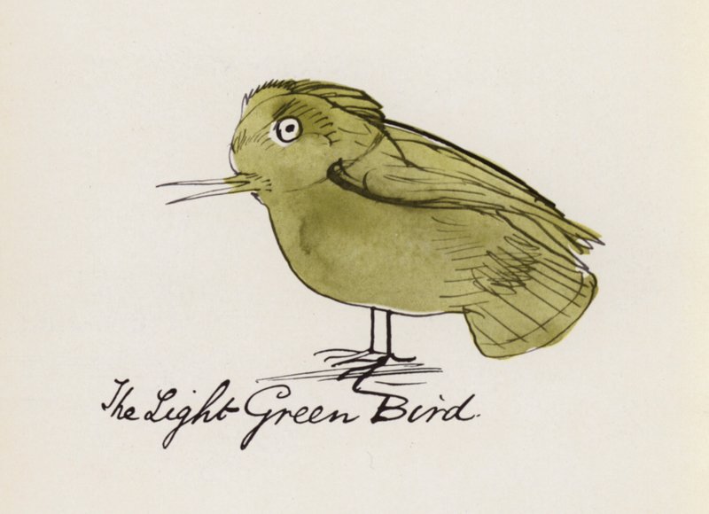 Edward Lear, Kniha o ptácích: Světle zelený pták (barevné lito) od Edward (after) Lear