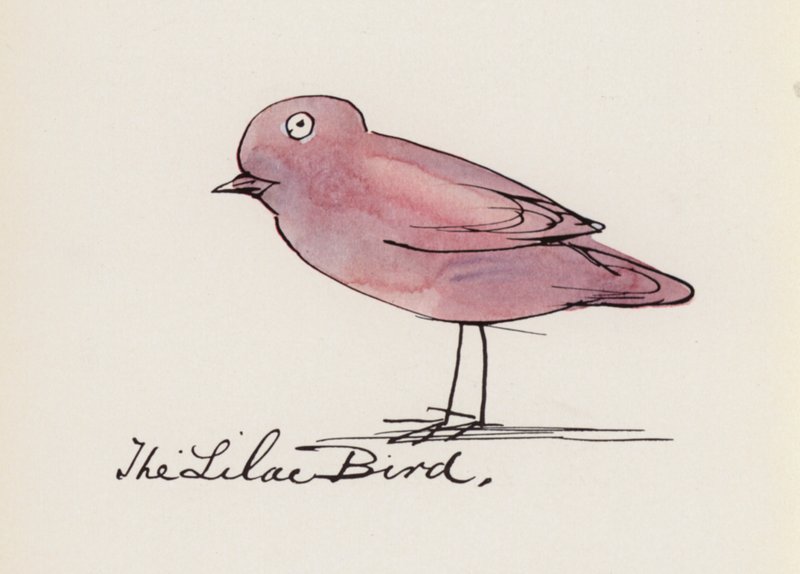 Edward Lear, The Bird Book: The Lilac Bird (barevné lito) od Edward (after) Lear