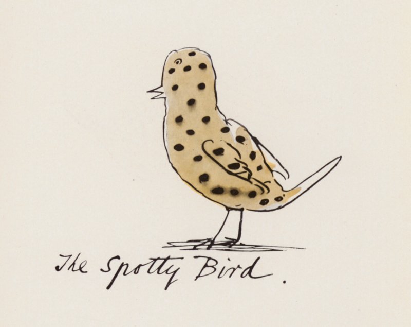Edward Lear, The Bird Book: The Spotty Bird (barevné lito) od Edward (after) Lear