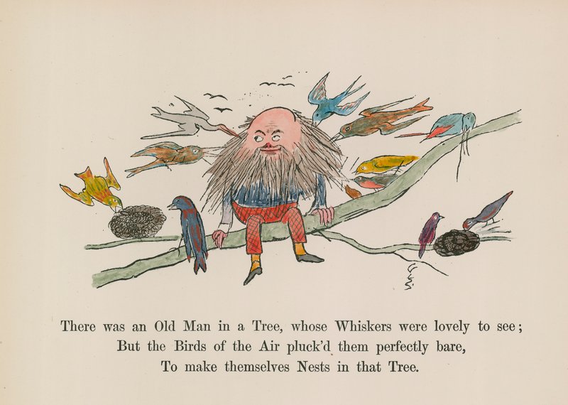 Na stromě byl stařec, jehož vousy byly krásně vidět (kolorovaná rytina). od Edward (after) Lear