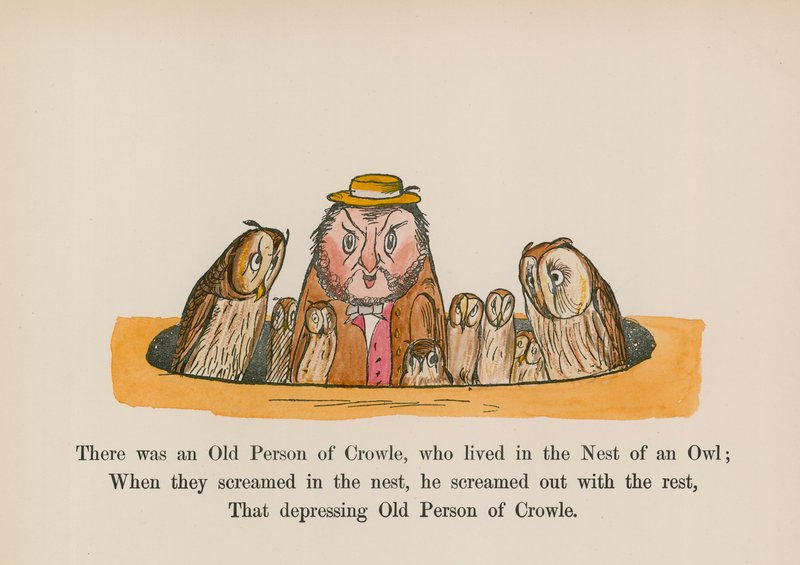 Byl jeden starý člověk z Crowle, který žil v hnízdě sovy (kolorovaná rytina) od Edward (after) Lear
