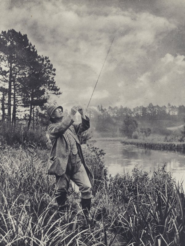 Uzlový bod (čb fotografie) od Edward Alfred Barton