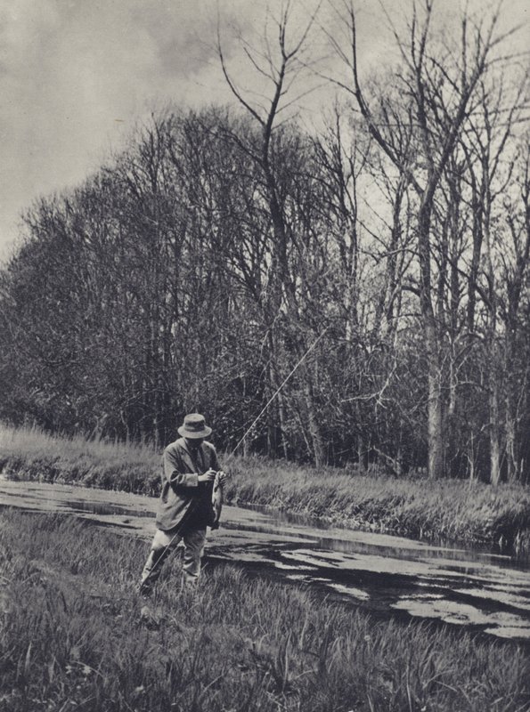 Časné jaro na řece Kennet (čb fotografie) od Edward Alfred Barton