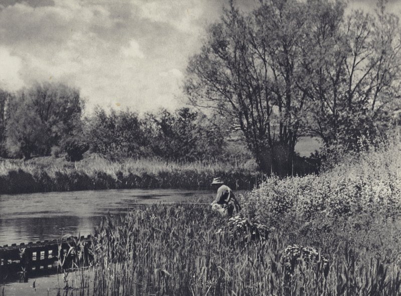 Květnový čas na testovacím přítoku (čb fotografie) od Edward Alfred Barton
