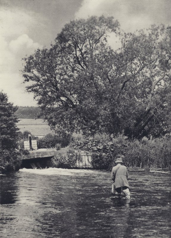 Na řece Itchen pod Winchesterem (čb fotografie) od Edward Alfred Barton