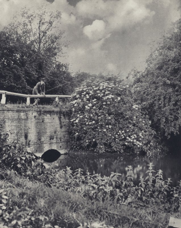 Most přes kanál Frays, Uxbridge (čb fotografie) od Edward Alfred Barton