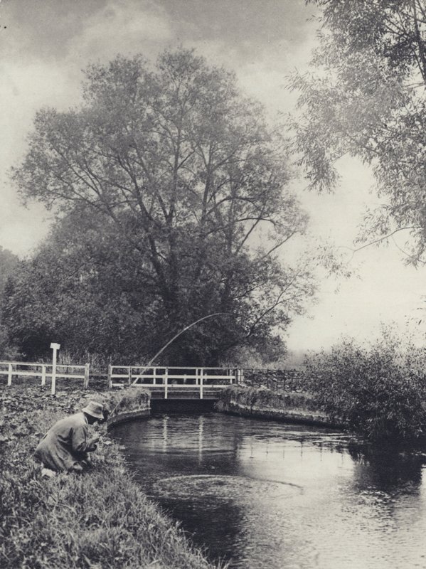 Poslední boj (čb fotografie) od Edward Alfred Barton