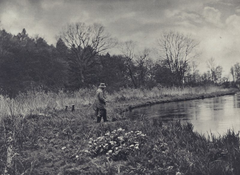 První jarní hlaváčky (čb foto) od Edward Alfred Barton