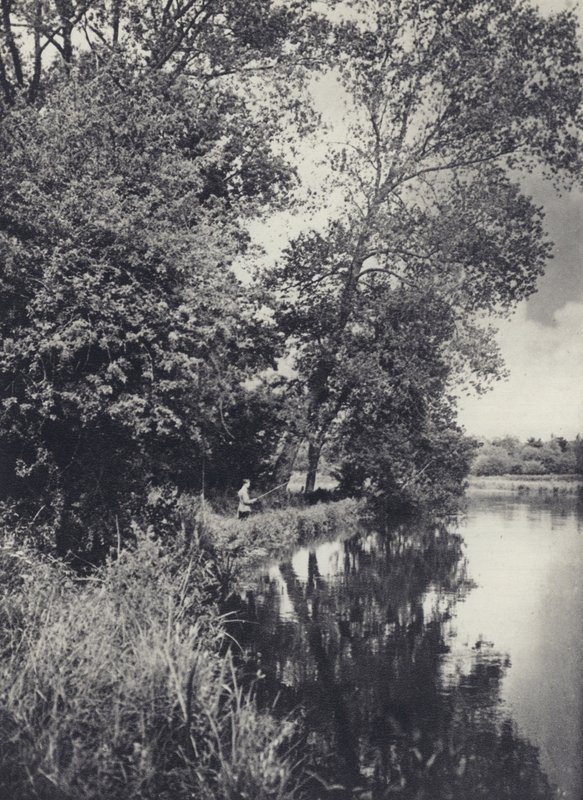 Pod velkými topoly na vodě Houghton (čb fotografie) od Edward Alfred Barton