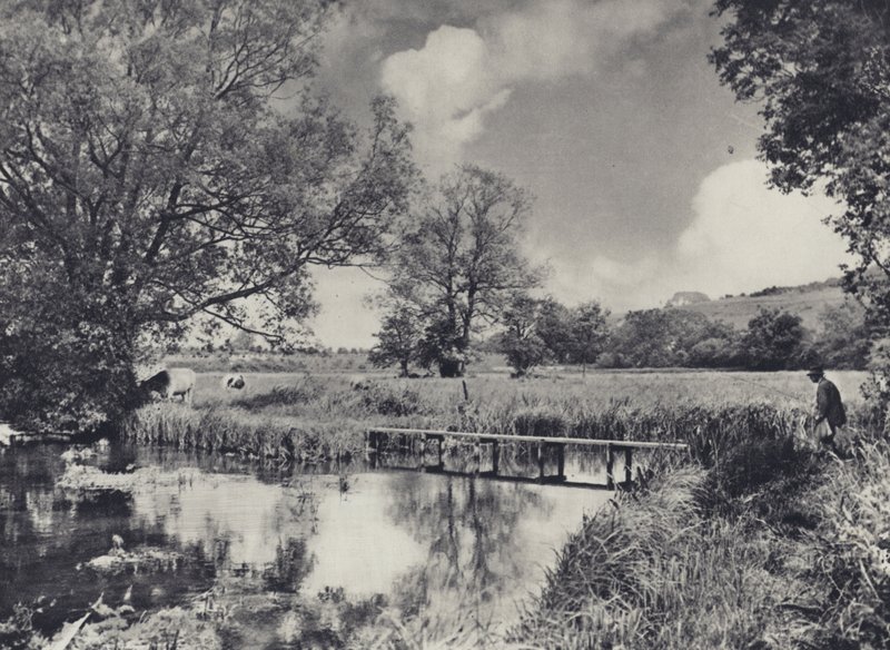 Vodní louky na řece Itchen (čb fotografie) od Edward Alfred Barton