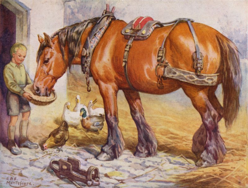 Chlapec krmící koně na farmě (barva litho) od Edward Brice Montefiore