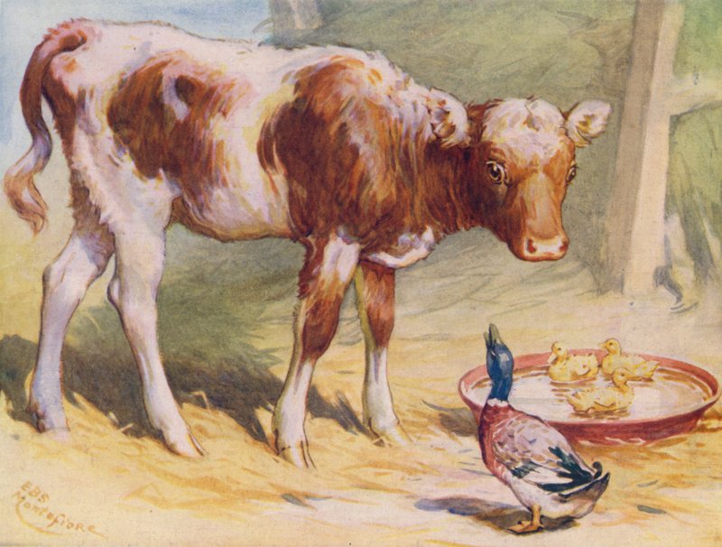 Tele a kachny (barva litho) od Edward Brice Montefiore
