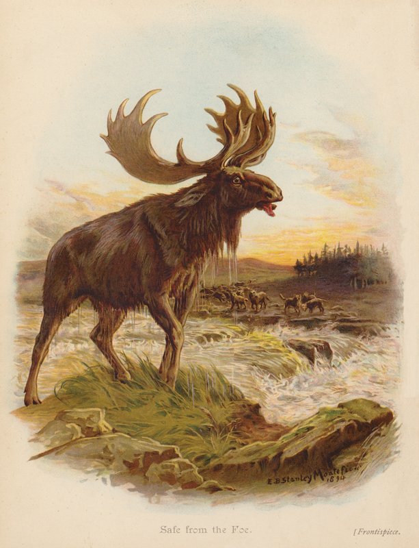 Safe from the Foe (barevná litografie) od Edward Brice Montefiore