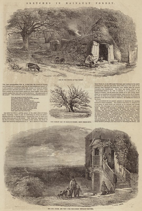 Skici v Hainaultském lese od Edward Duncan