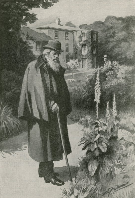 Charles Darwin ve své zahradě v Down House (litografie) od Edward Frederick Skinner