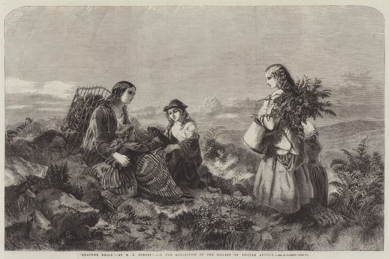 Heather Bells od Edward John Cobbett