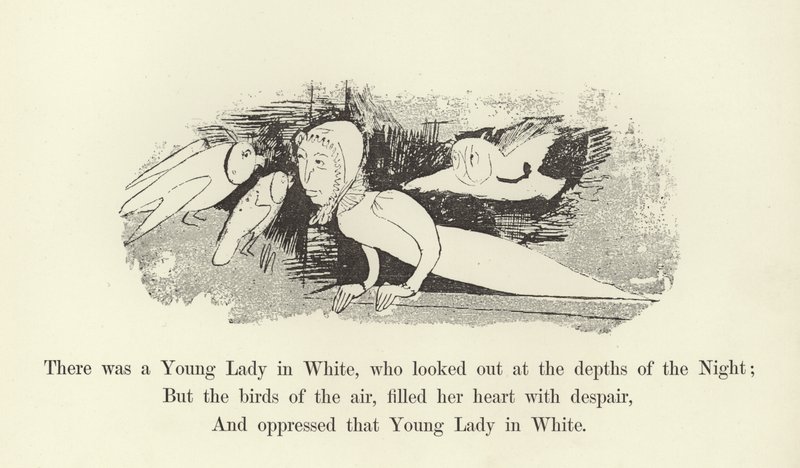 Byla tam Mladá dáma v bílém, která se dívala do hlubin Noci od Edward Lear